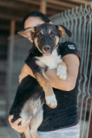 /album/260/whatsapp-image-2026-03-11-at-21-00-41-jpeg/